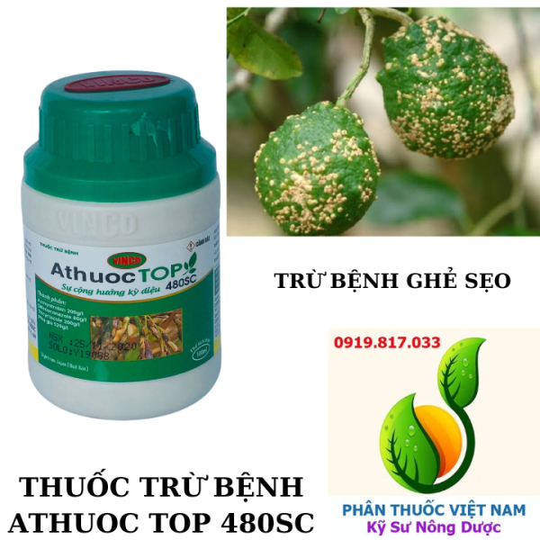 ATHUOC TOP GHẺ SẸO
