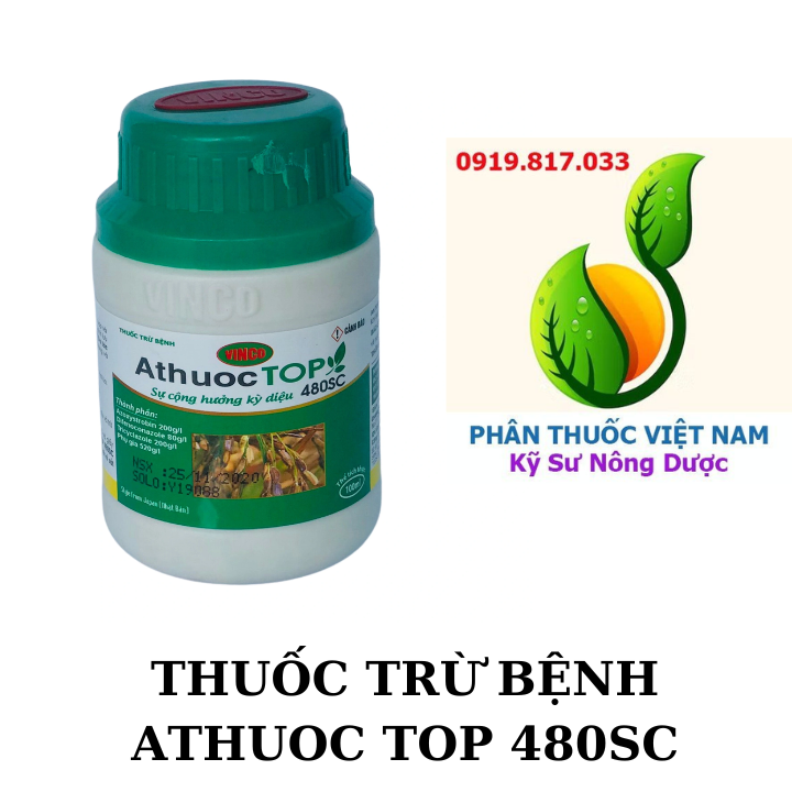 ATHUOC TOP