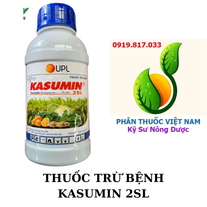 KASUMIN 2SL