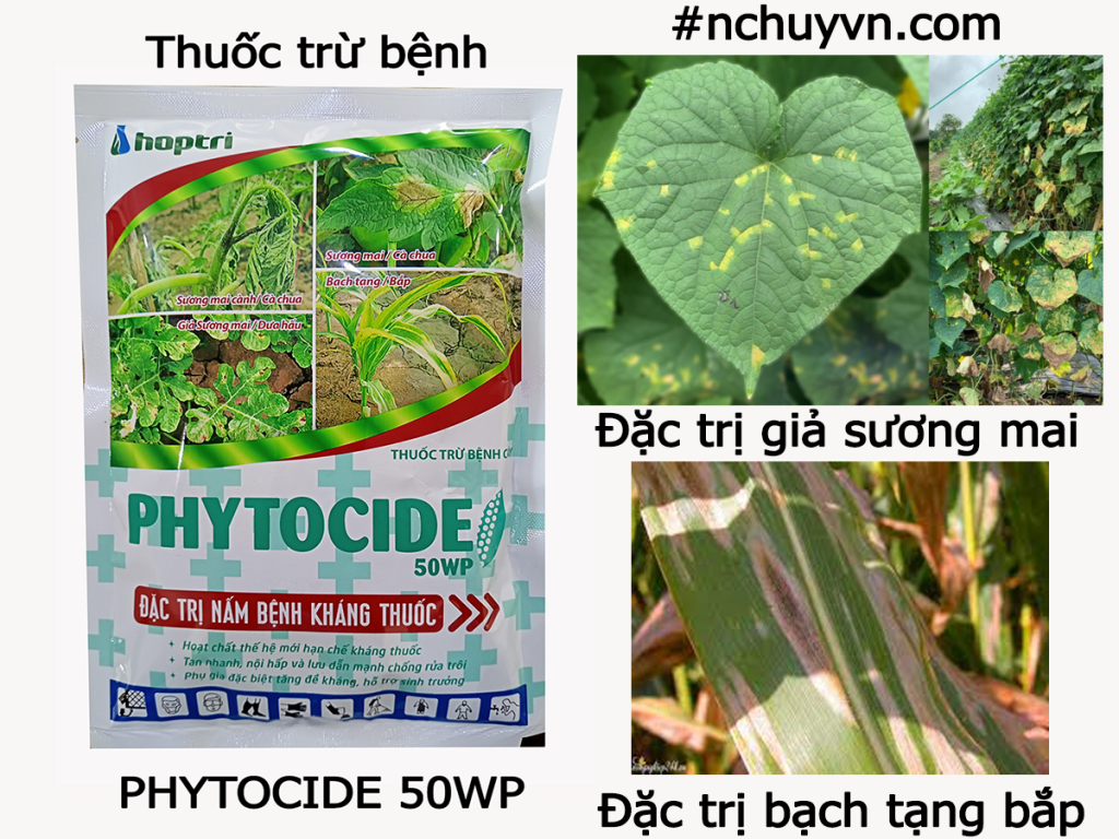 phytocide 1