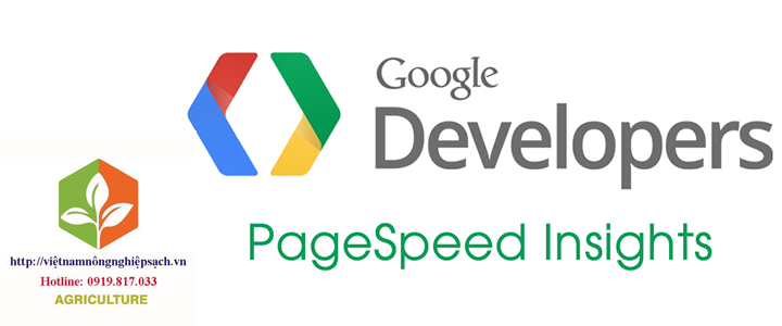 Hướng dẫn tối ưu – tăng điểm Google Pagespeed Insights cho WordPress